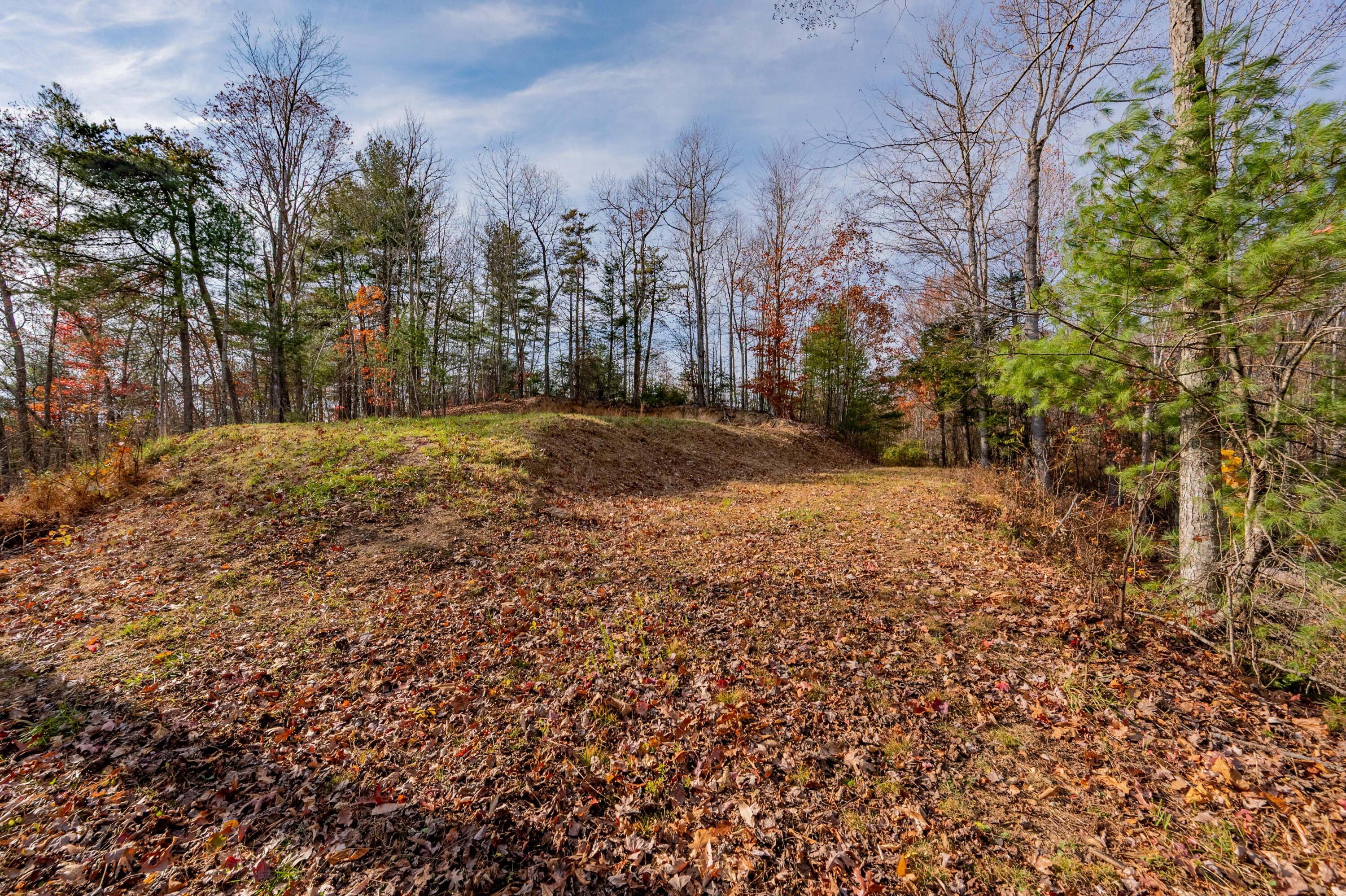 0 Tumbling Waters Road Northeast Copper Hill, VA 24079 - Photo 13 of 38 a view of a yard with trees