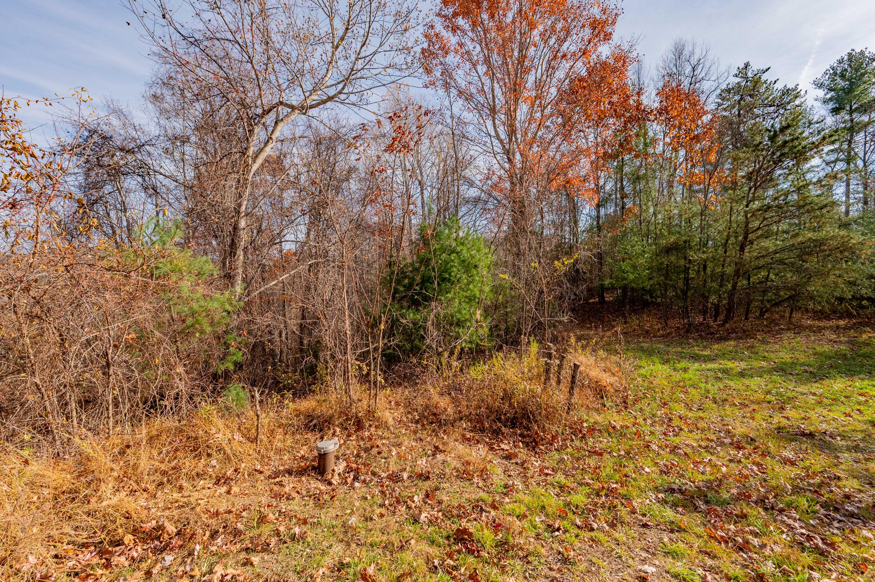 0 Tumbling Waters Road Northeast Copper Hill, VA 24079 - Photo 3 of 38 a view of yard with trees