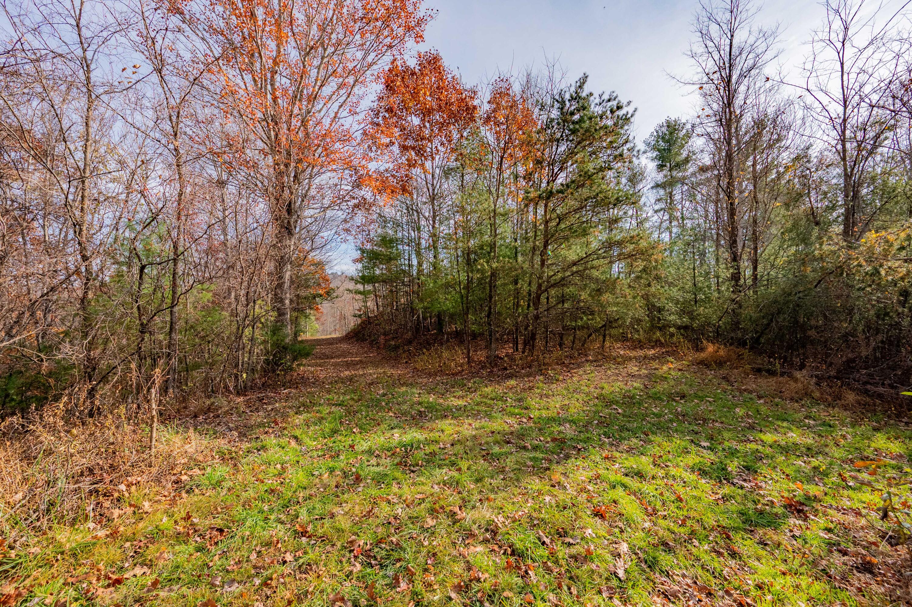 0 Tumbling Waters Road Northeast Copper Hill, VA 24079 - Photo 4 of 38 a view of a yard with trees