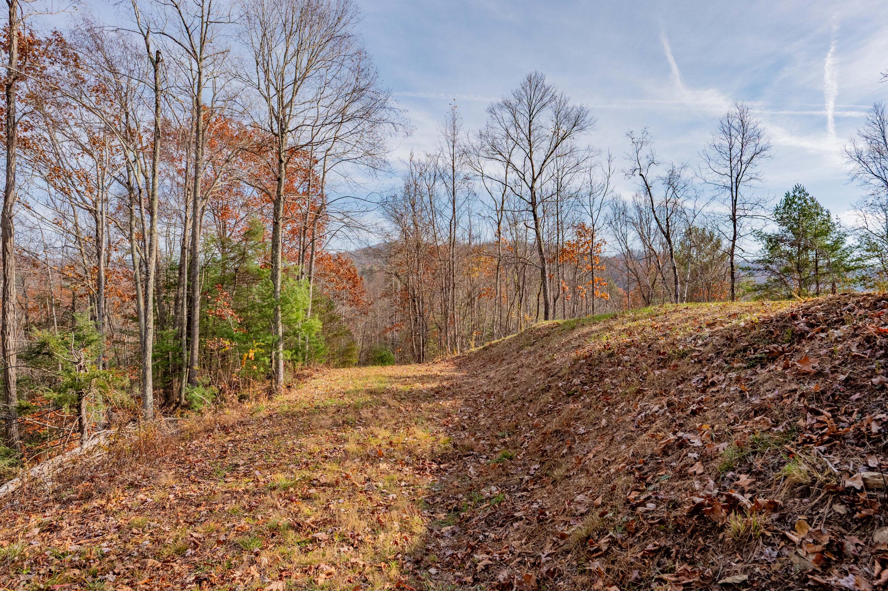 0 Tumbling Waters Road Northeast Copper Hill, VA 24079 - Photo 6 of 38 a backyard of a house with lots of green space