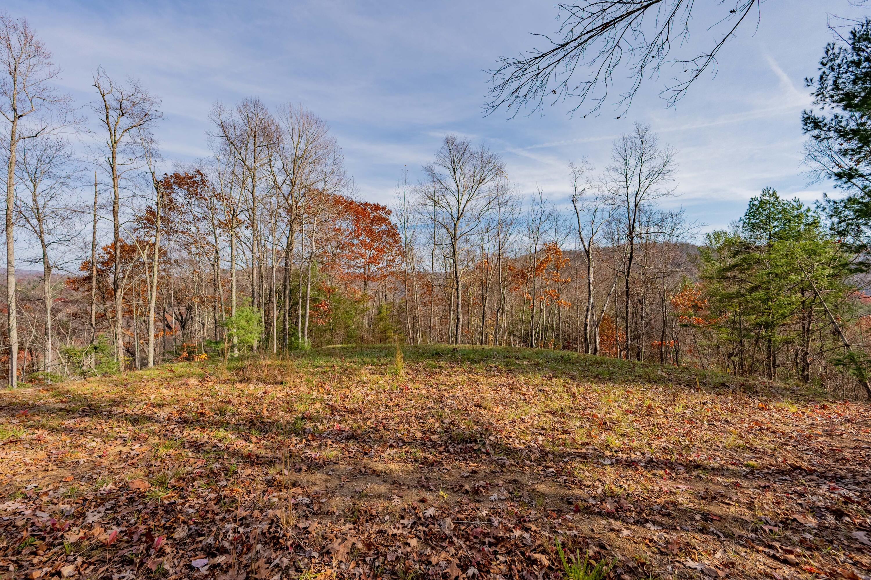 0 Tumbling Waters Road Northeast Copper Hill, VA 24079 - Photo 9 of 38 a view of a yard with trees