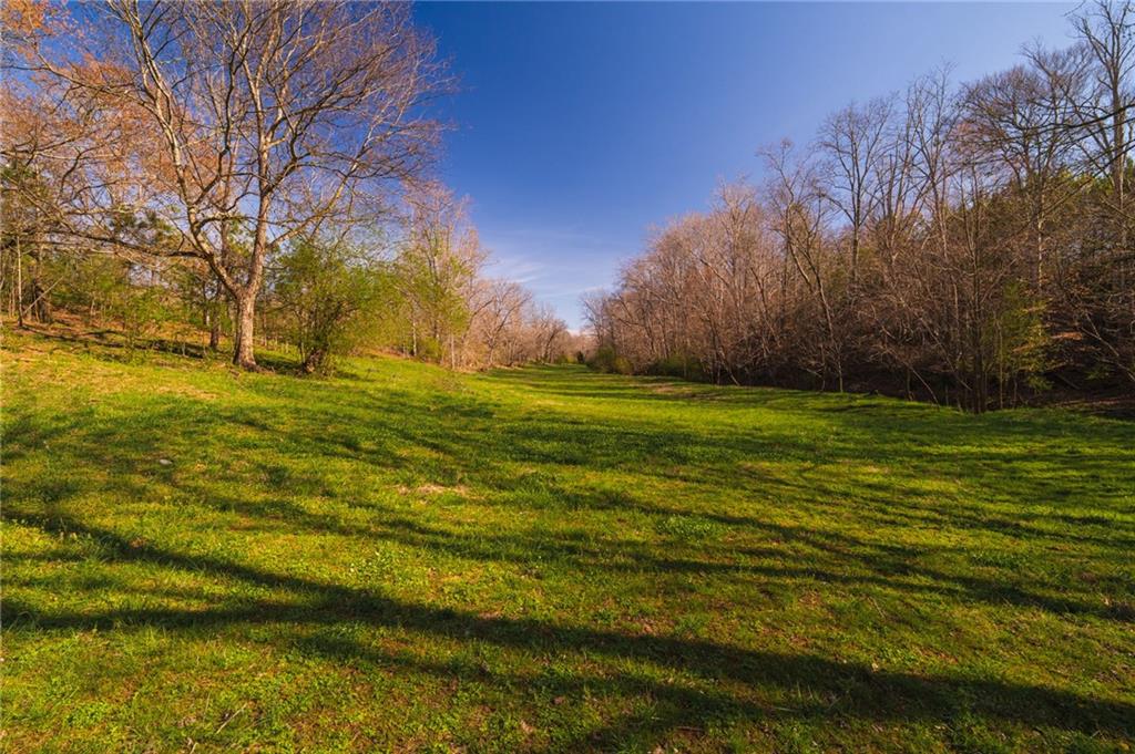 723 Sulphur Springs Road Southeast Fairmount, GA 30139 - Photo 44 of 54 a view of a big yard with lots of green space