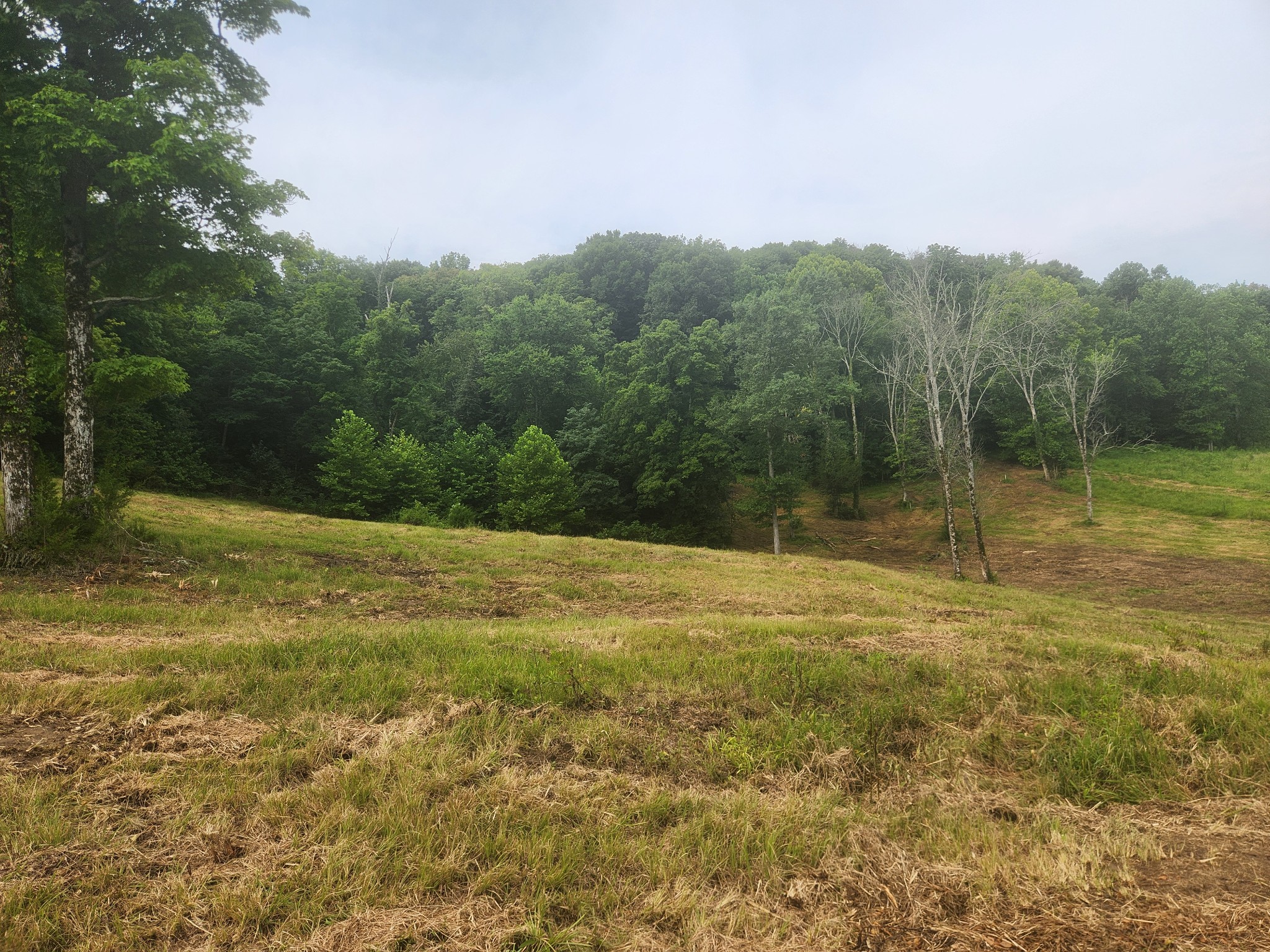 0 Barrett Road Watertown, TN 37184 - Photo 34 of 40 Gallery Image 34