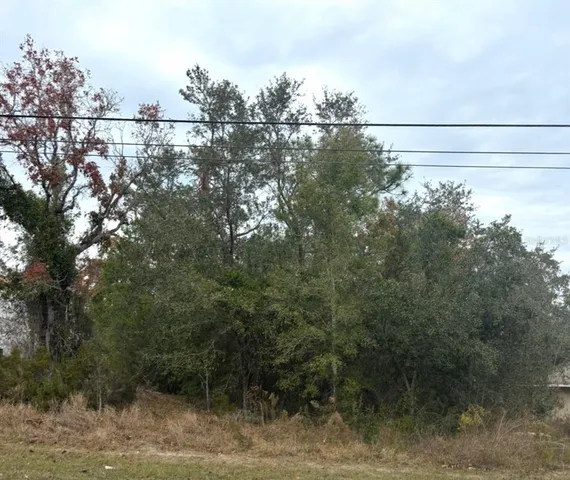 $56,500 | 7403 Canterbury Street, Spring Hill, FL 34606