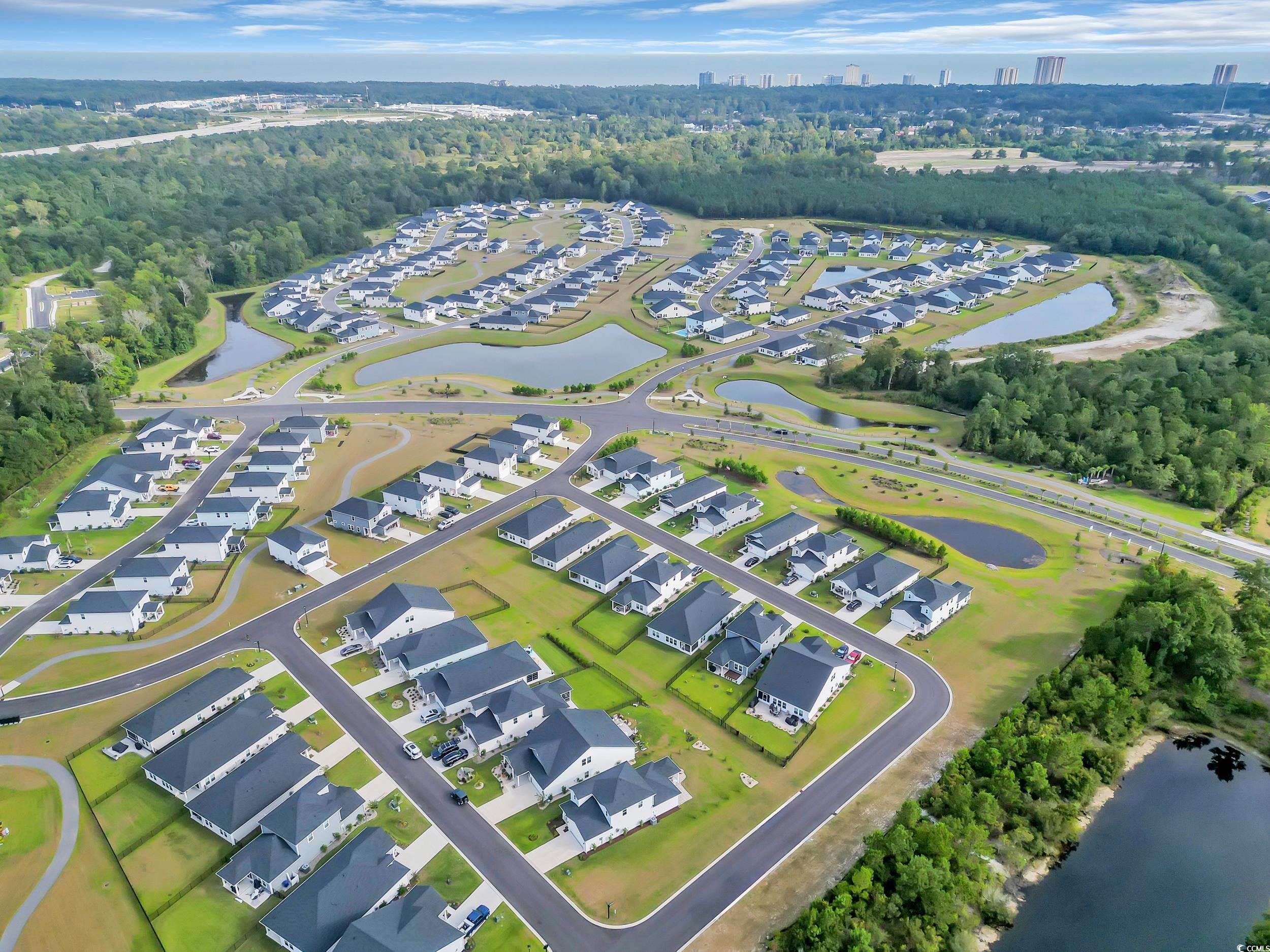 8621 Pinnacle Cv Way Longs, SC 29568 - Photo 31 of 36