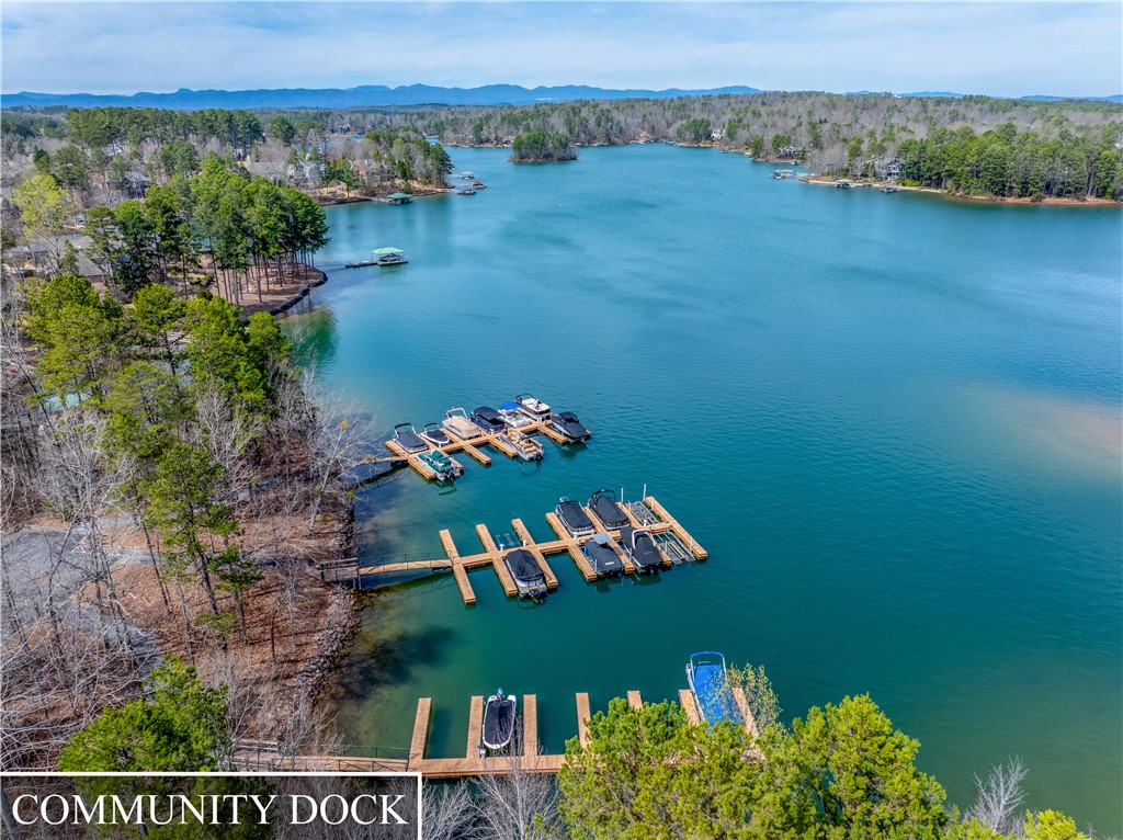 111 Northshores Drive Seneca, SC 29672 - Photo 46 of 50