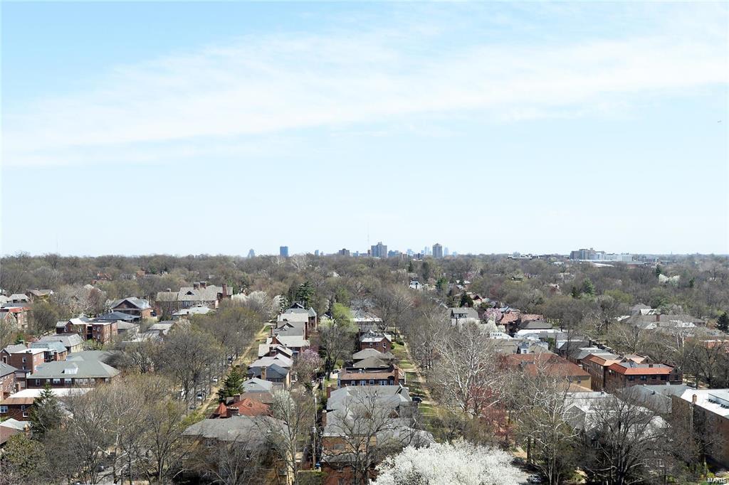 900 South Hanley Road, Unit 12D St. Louis, MO 63105 - Photo 38 of 48