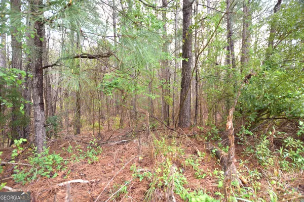 $35,000 | 116 Nautica Point, Macon, GA 31220