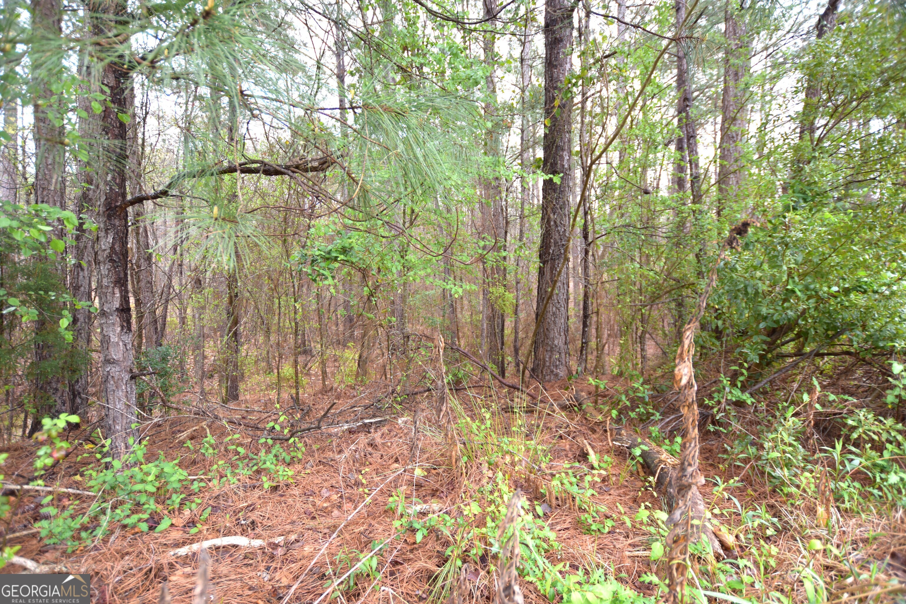 116 Nautica Point Macon, GA 31220 - Photo 3 of 5 Wooded