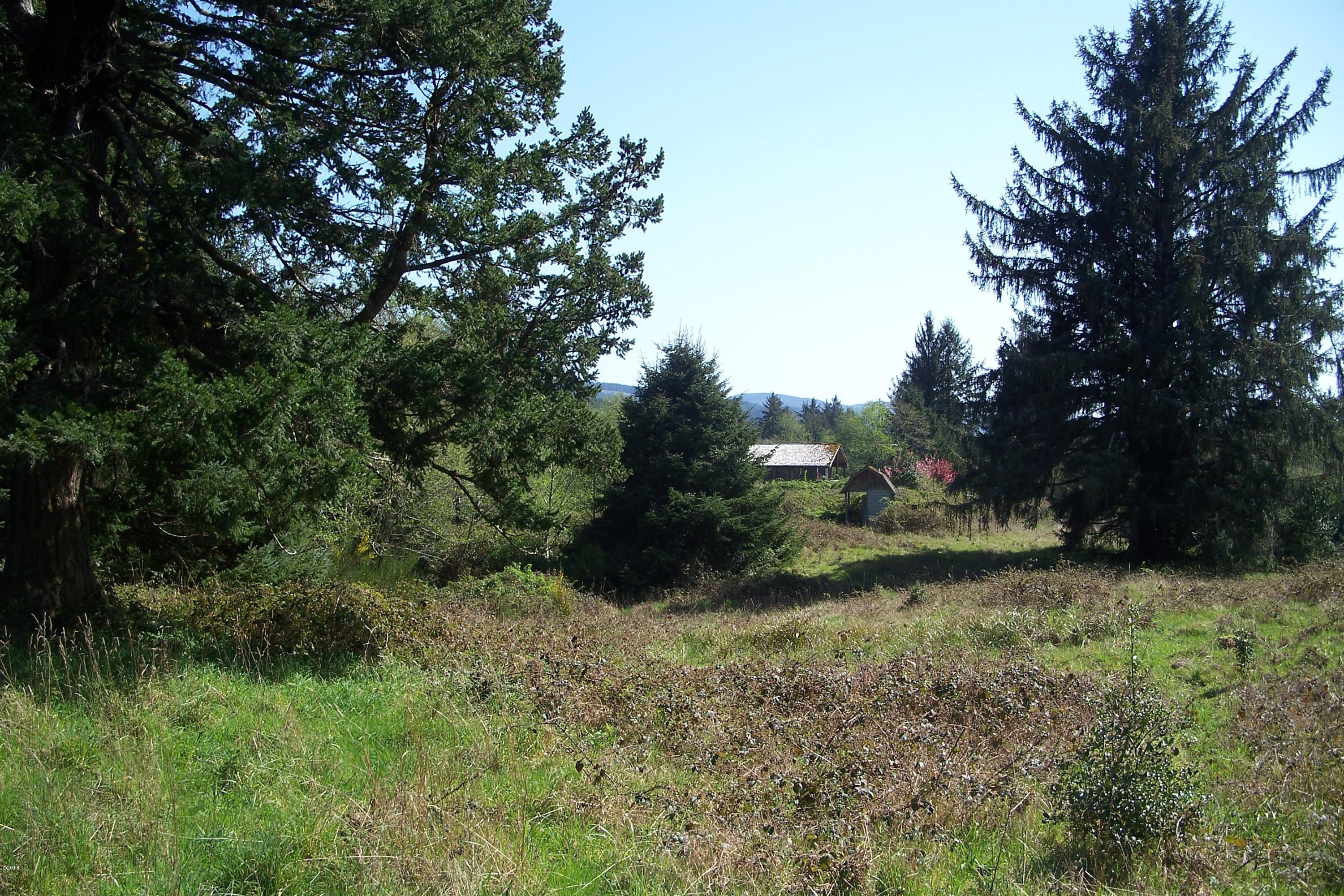 3436 North Bayview Road Waldport, OR 97394 - Photo 4 of 7 100_1338