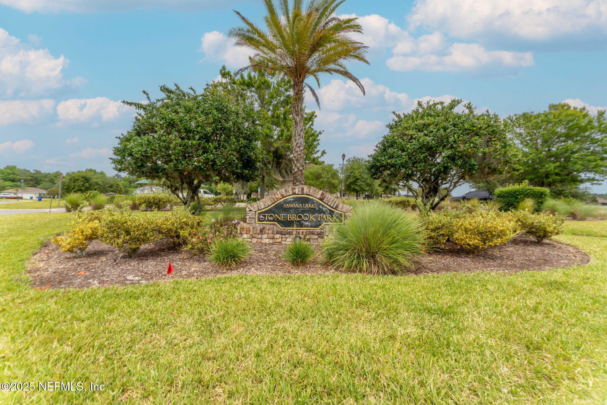 203 Buck Run Way St. Augustine, FL 32092 - Photo 62 of 62 a view of a yard with plants and large trees
