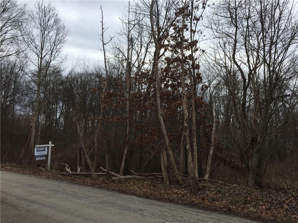 Lot 11 Hilty Road Export, PA 15632 - Photo 1 of 4 Gallery Image 1
