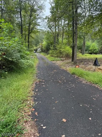 a view of a forest with trees