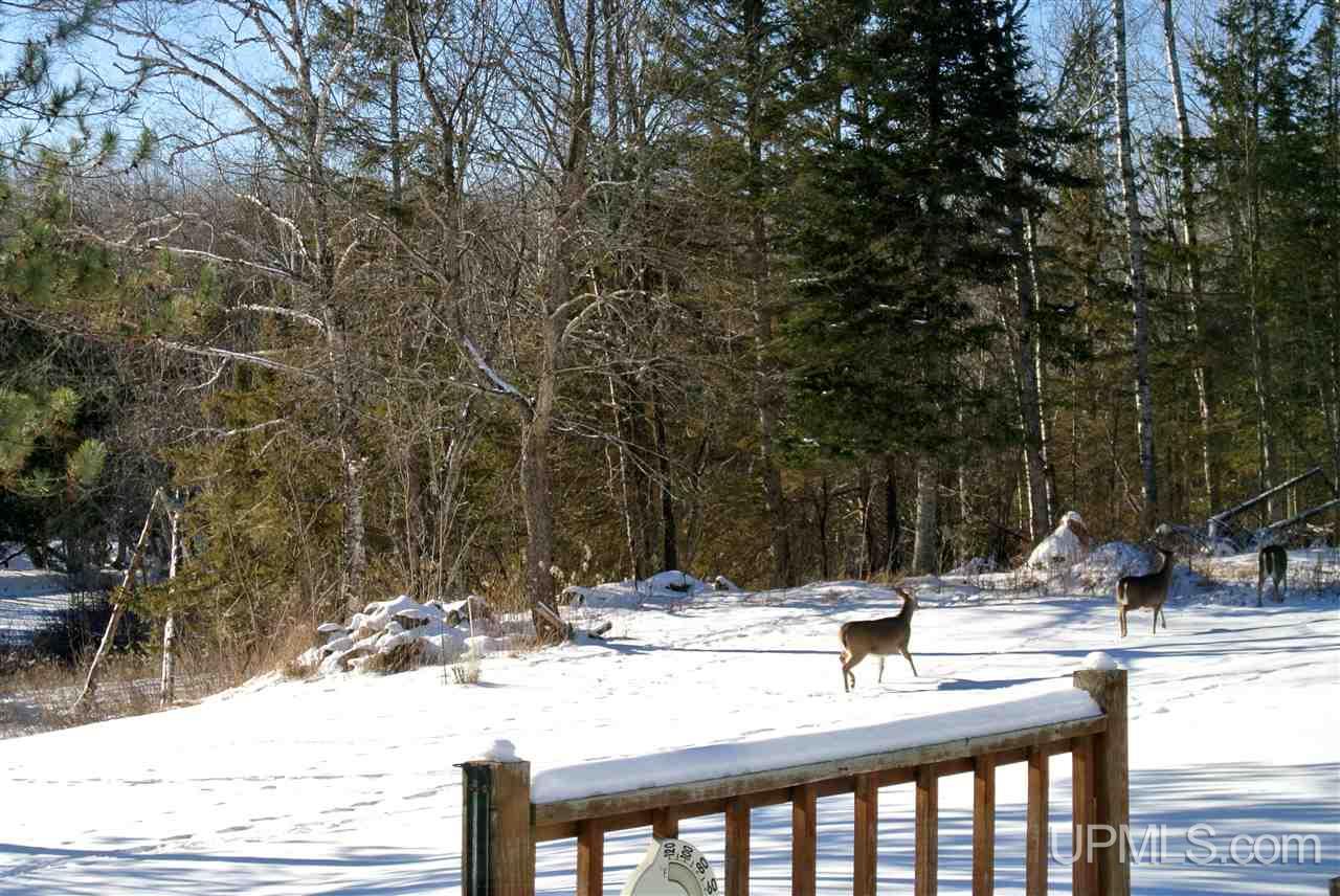 70361 County 426 M.5 Road Felch, MI 49831 - Photo 9 of 36 Gallery Image 9