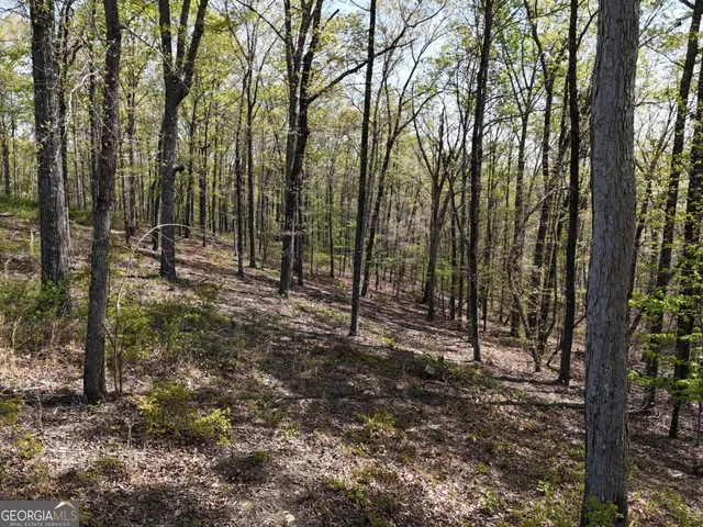 a view of outdoor space with lots of trees