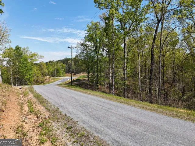 a view of a park with large trees