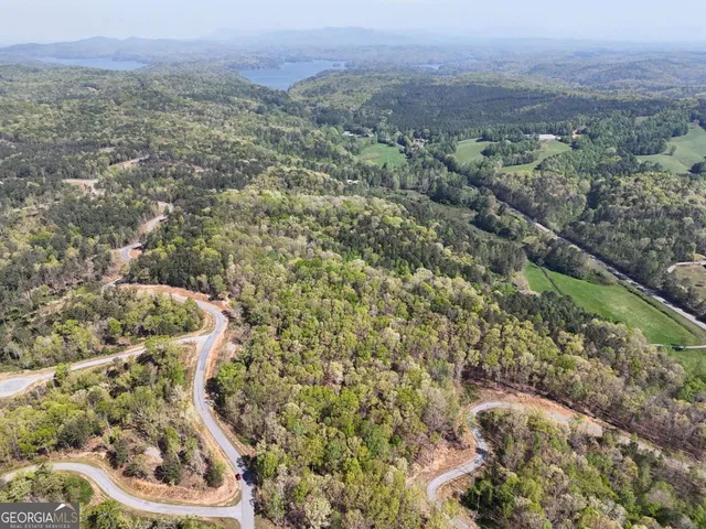 a view of a city with lush green forest