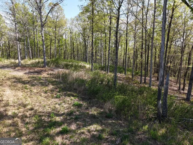 a view of outdoor space and garden