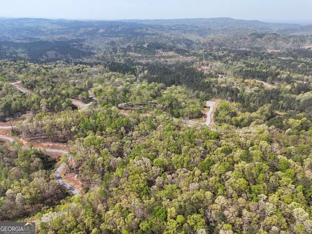 a view of a forest with a street