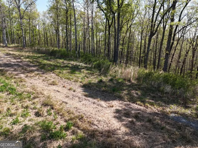 a view of a yard with trees