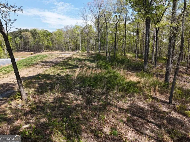 a view of a yard with plants and trees