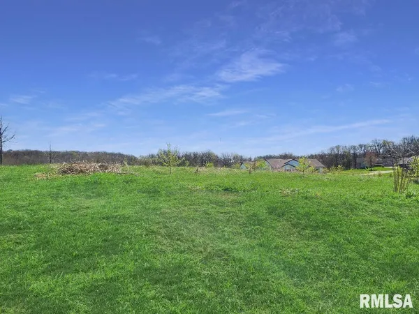 $35,000 | 7 Town Avenue, Princeville, IL 61559