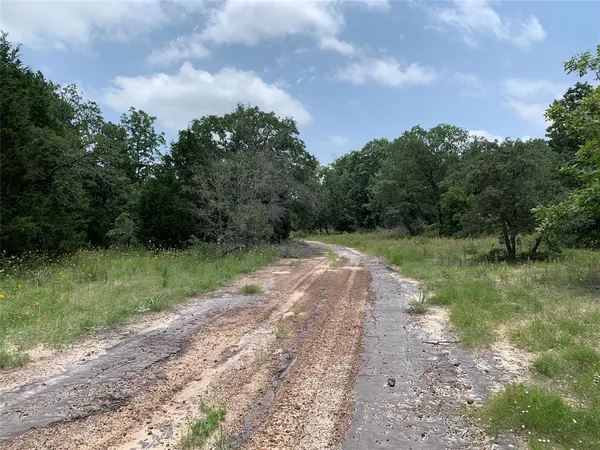 a view of a field with trees in the background