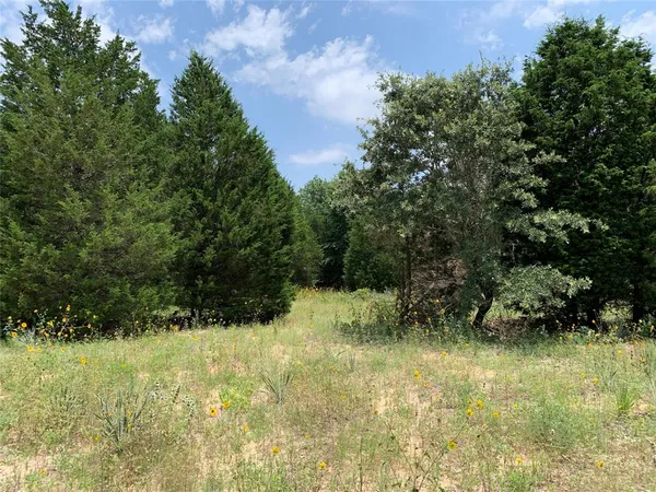 a view of lot of trees and bushes