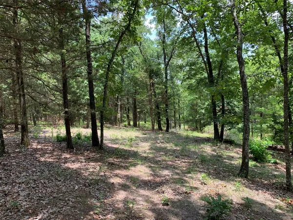 a view of outdoor space with trees all around