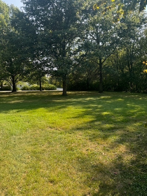 380 Herman Street Crete, IL 60417 - Photo 5 of 12 Gallery Image 5