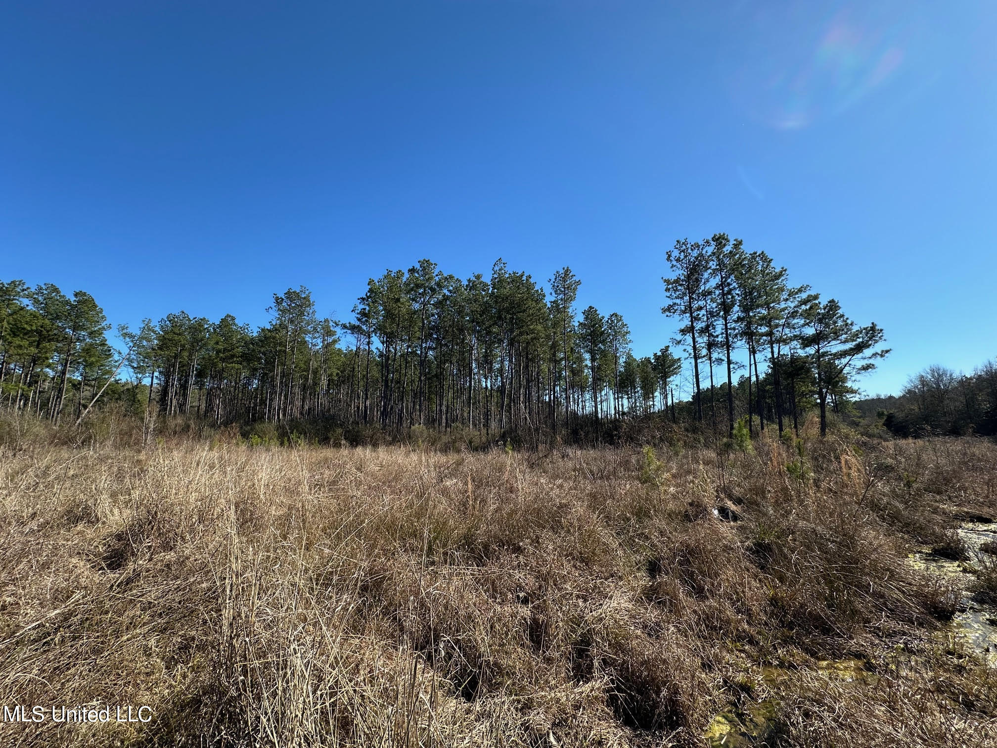 0 Stratton Road Union, MS 39365 - Photo 6 of 14 22