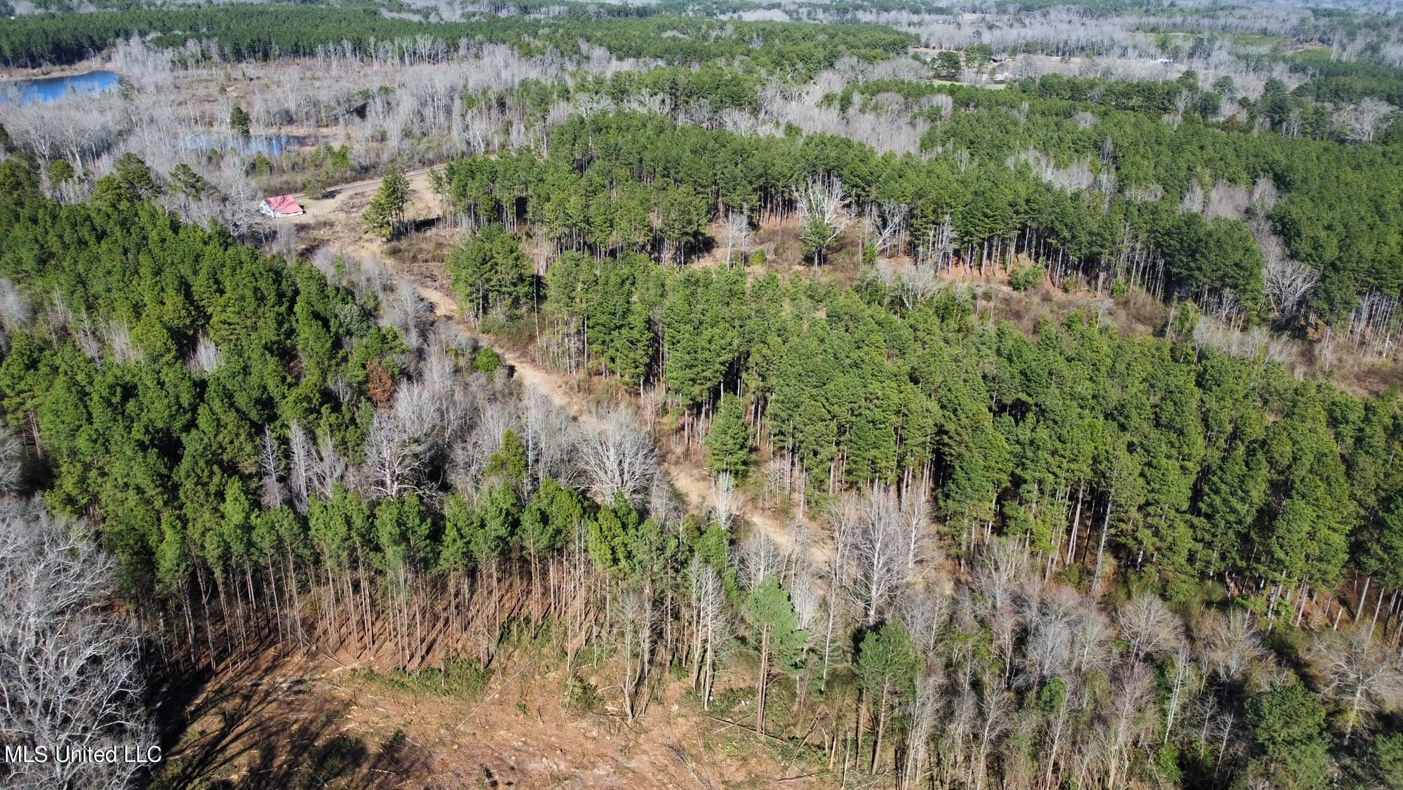 0 Stratton Road Union, MS 39365 - Photo 8 of 14 37