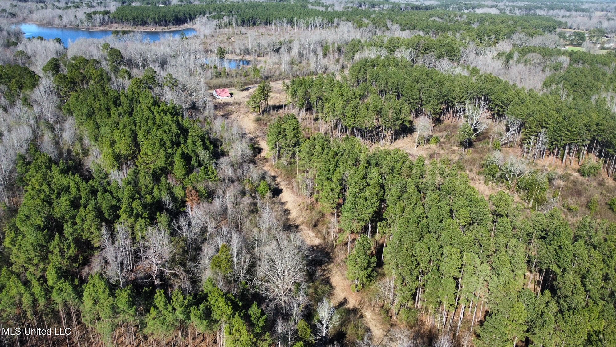 0 Stratton Road Union, MS 39365 - Photo 9 of 14 38