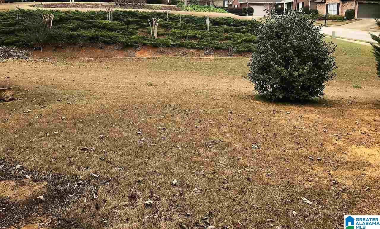 452 Chesser Plantation Lane Chelsea, AL 35043 - Photo 20 of 21