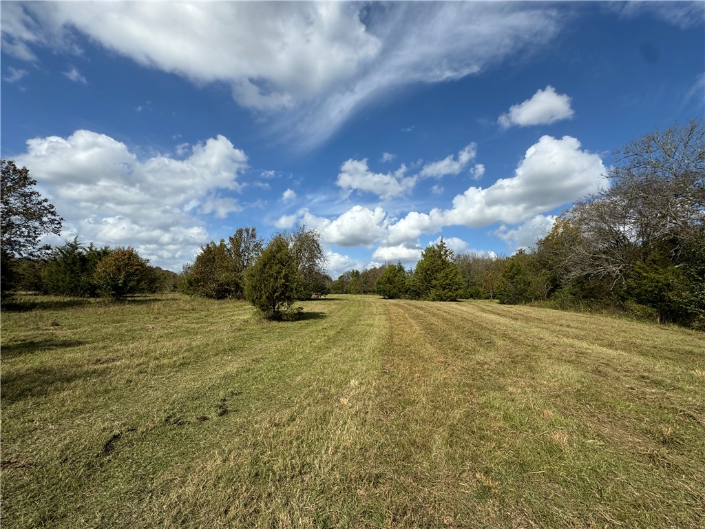 2 Seneca St Extension Calhoun Falls, SC 29628 - Photo 14 of 27