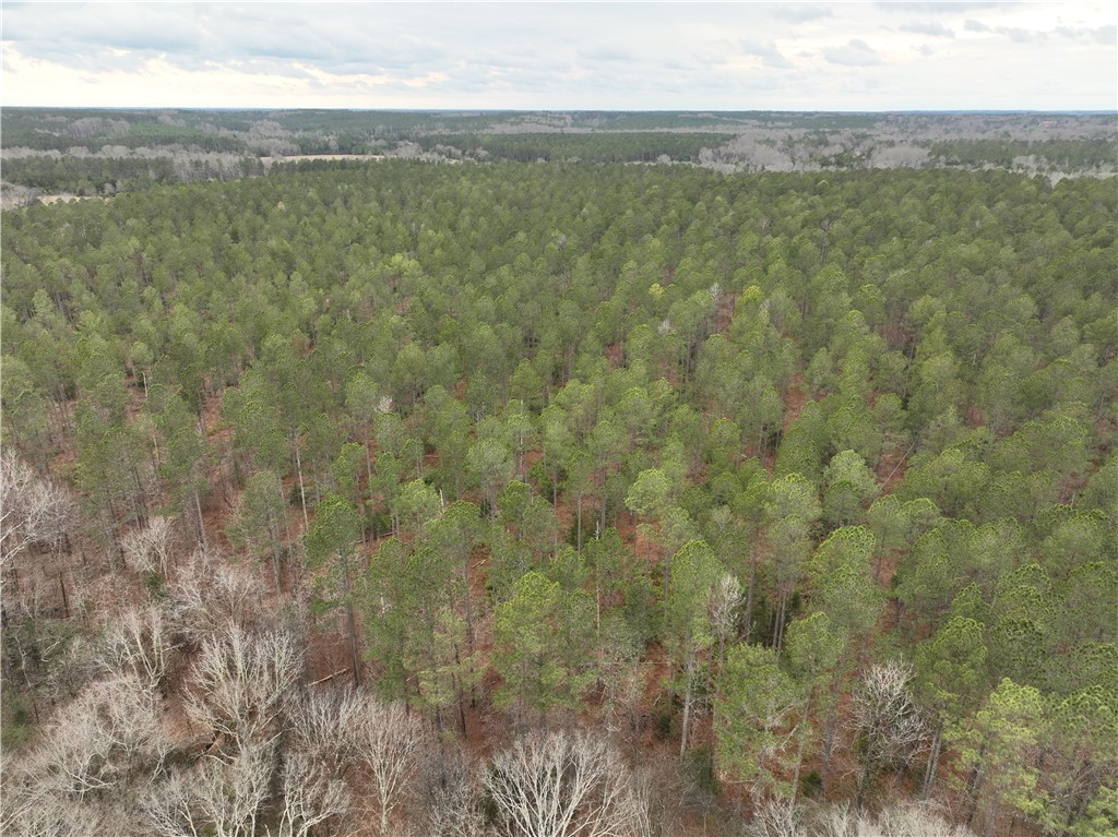 2 Seneca St Extension Calhoun Falls, SC 29628 - Photo 24 of 27 This verdant expanse of land offers unparalleled natural beauty and serene privacy.