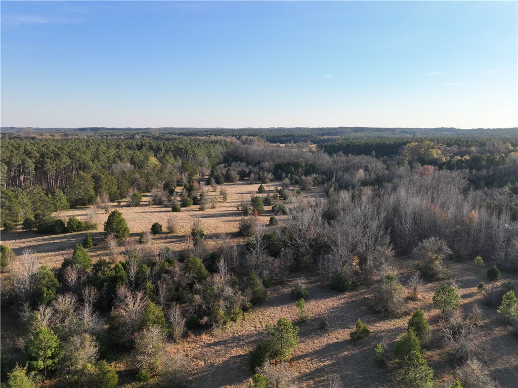 2 Seneca St Extension Calhoun Falls, SC 29628 - Photo 5 of 27
