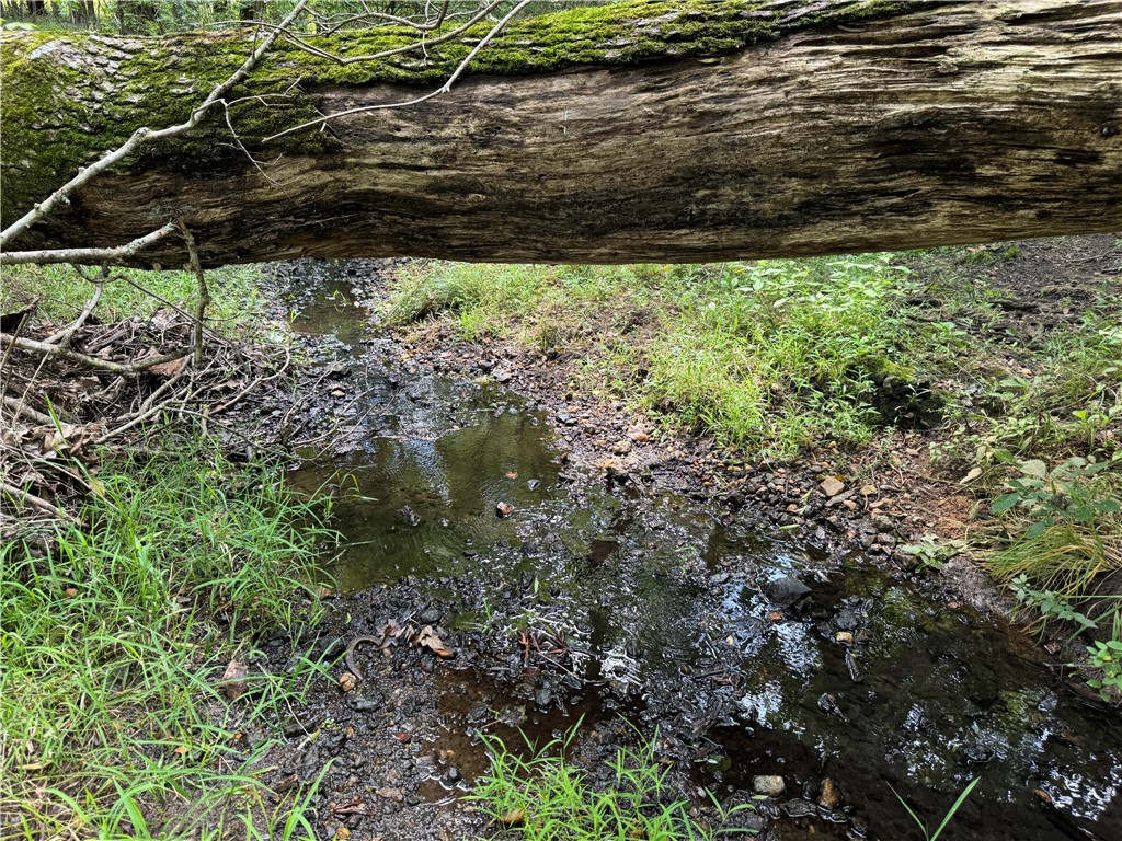 2 Seneca St Extension Calhoun Falls, SC 29628 - Photo 7 of 27