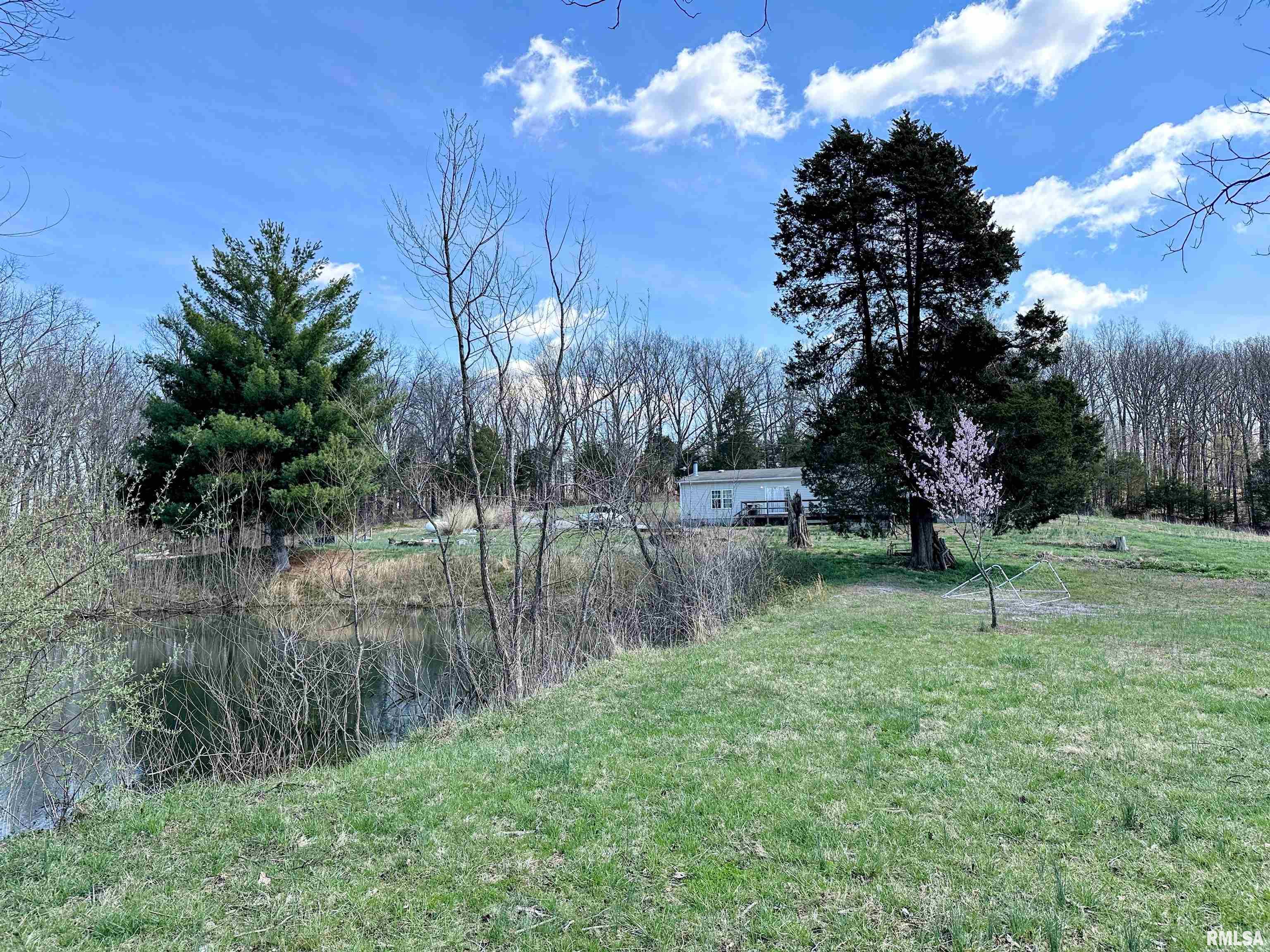 1891 Murphy Road Creal Springs, IL 62922 - Photo 46 of 73