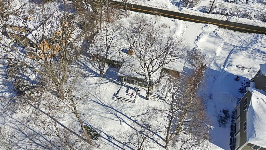 17 North Street Lexington, MA 02420 - Photo 39 of 42 a view of a yard with a tree