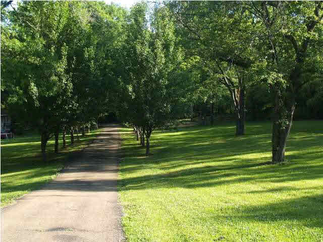1175 McCluer Road Jackson, MS 39212 - Photo 3 of 13 Photo 3