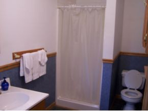 3426 Gap Creek Road Hampton, TN 37658 - Photo 8 of 12 one of baths