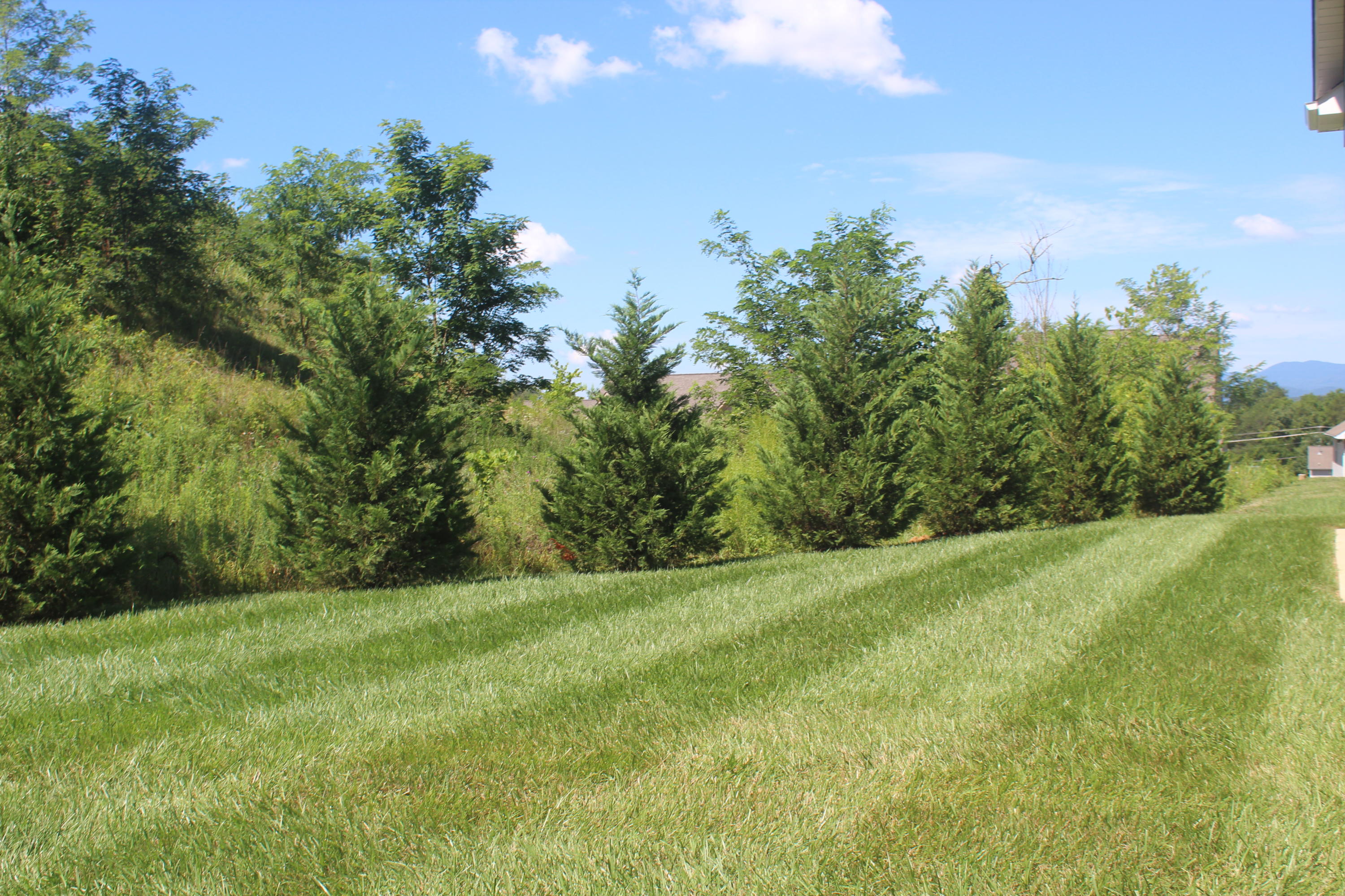406 Brookstone Ridge Drive Clinton, TN 37716 - Photo 23 of 32 IMG_1108