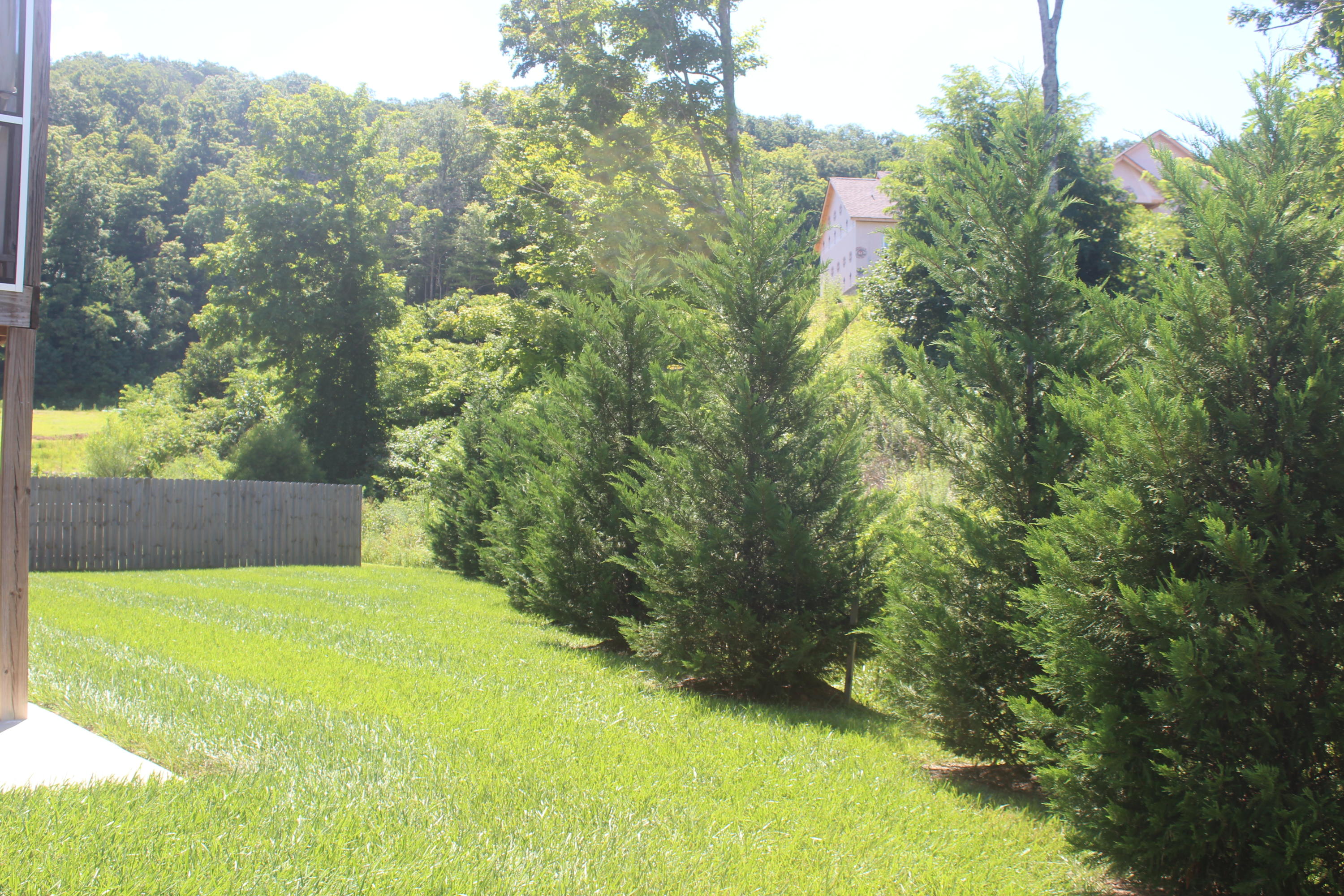 406 Brookstone Ridge Drive Clinton, TN 37716 - Photo 30 of 32 IMG_1115