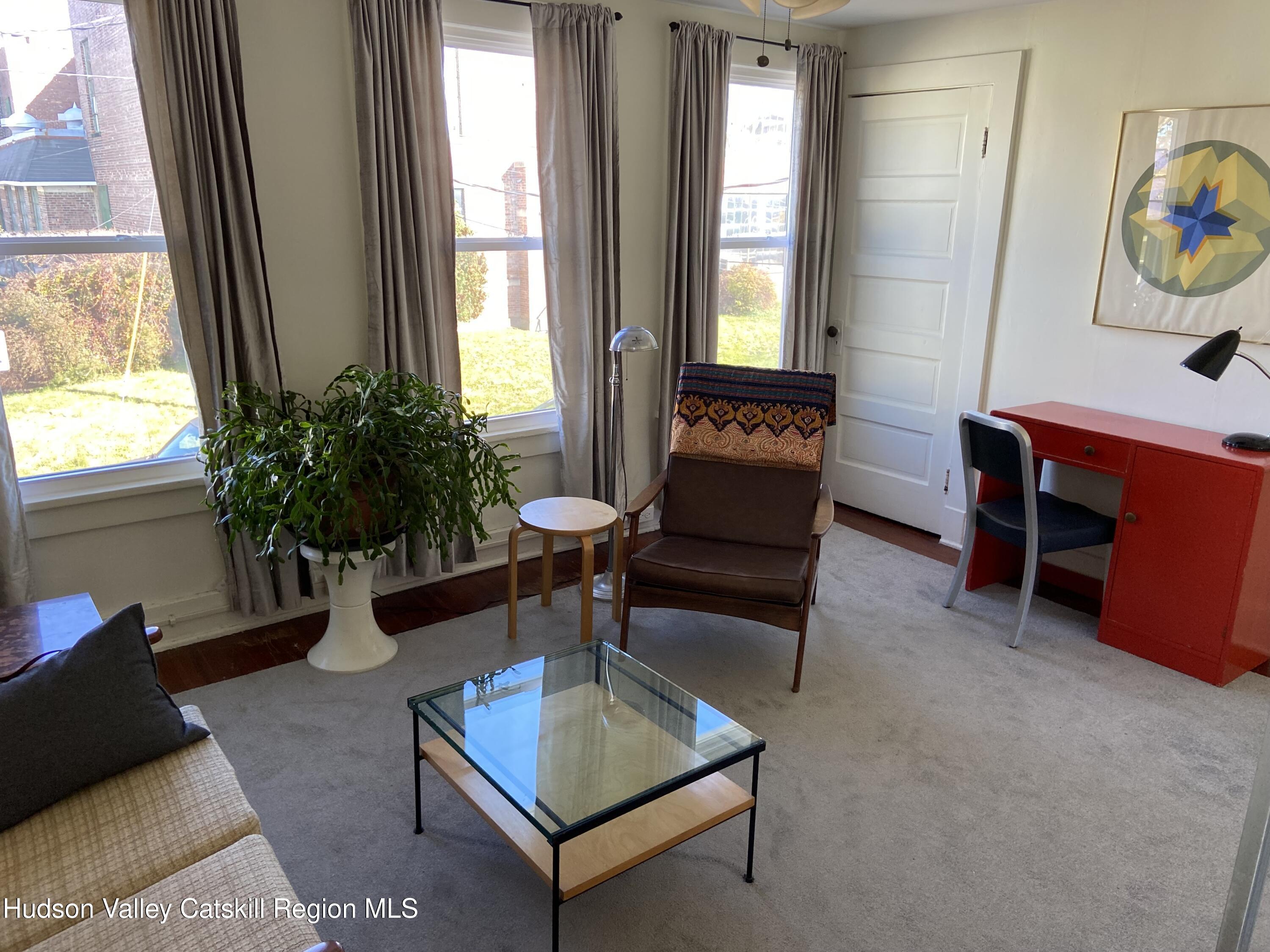 251 Robinson Street, Unit 2 Hudson, NY 12534 - Photo 2 of 7 a living room with furniture and a potted plant