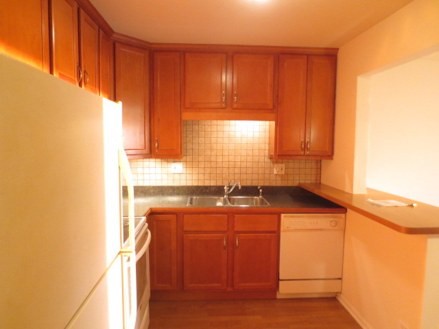 701 West Huntington Commons Road, Unit 416 Mount Prospect, IL 60056 - Photo 3 of 11