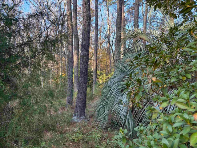 $60,000 | Xxxx Box Wood Court, Tallahassee, FL 32303