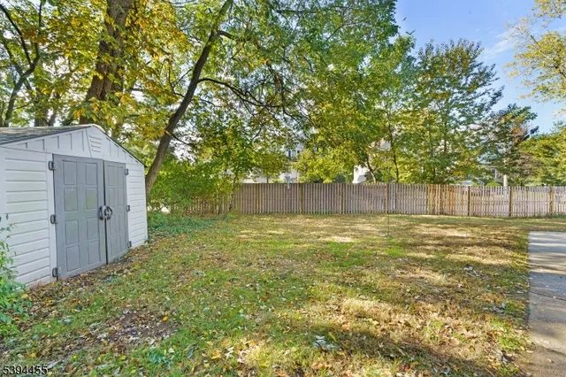 a view of a yard with a tree