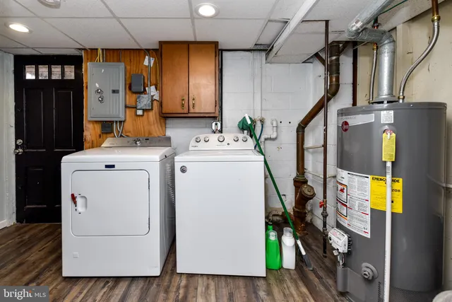 a view of a yard with trees