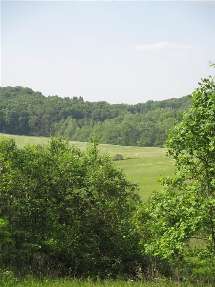 43 State Road Stinesville, IN 47464 - Photo 4 of 25